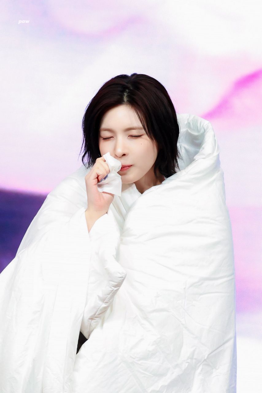 엔믹스 배이 규진 설윤