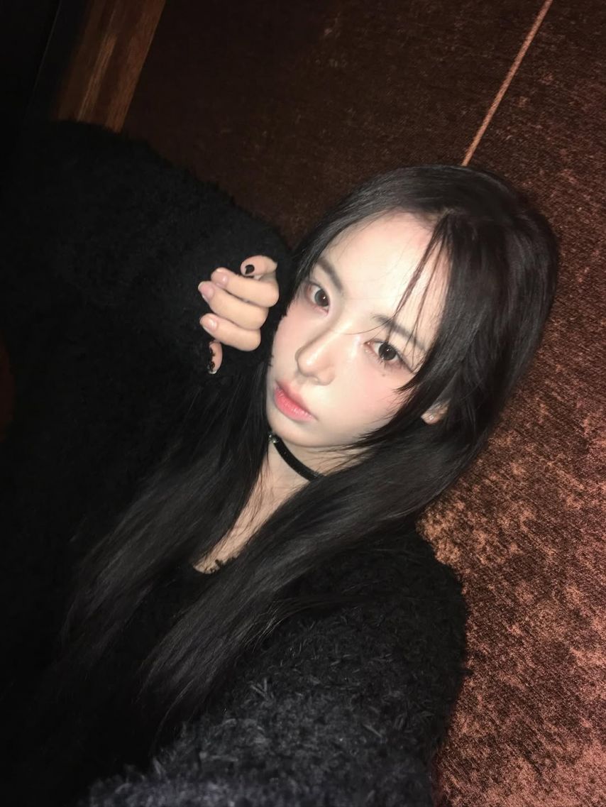 세이마이네임 슈이