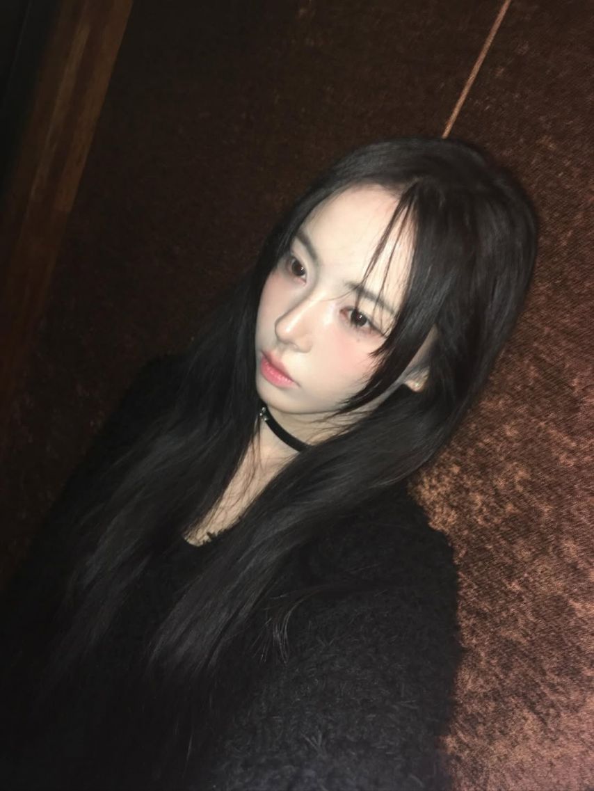 세이마이네임 슈이