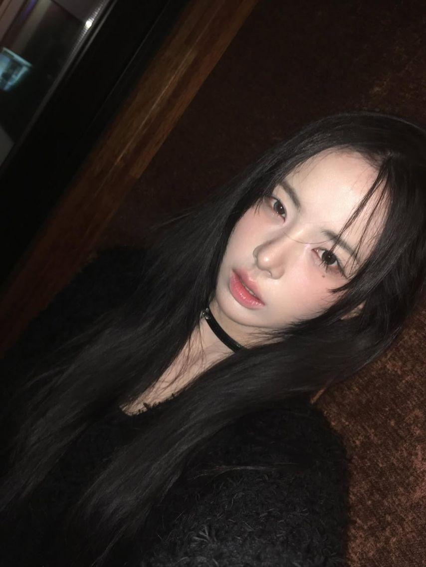 세이마이네임 슈이