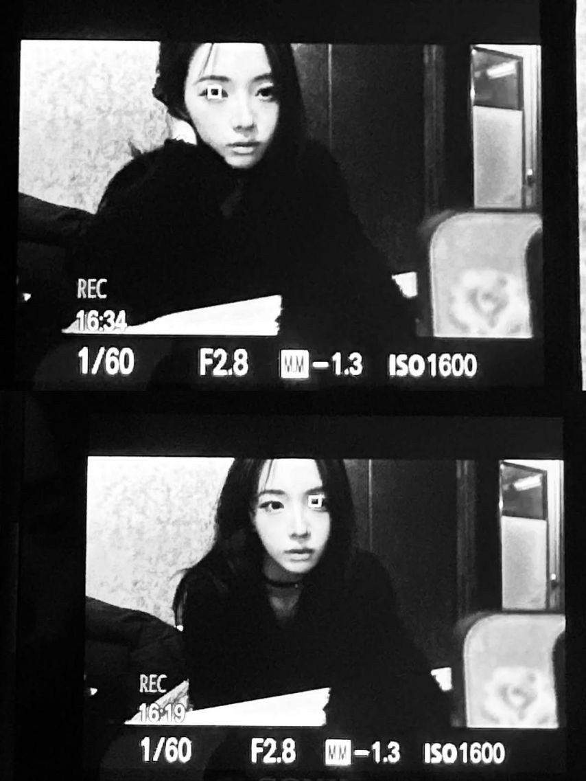 세이마이네임 슈이
