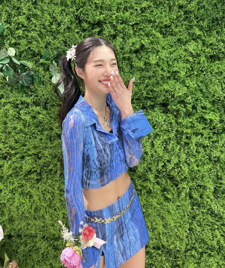 레드벨벳 조이
