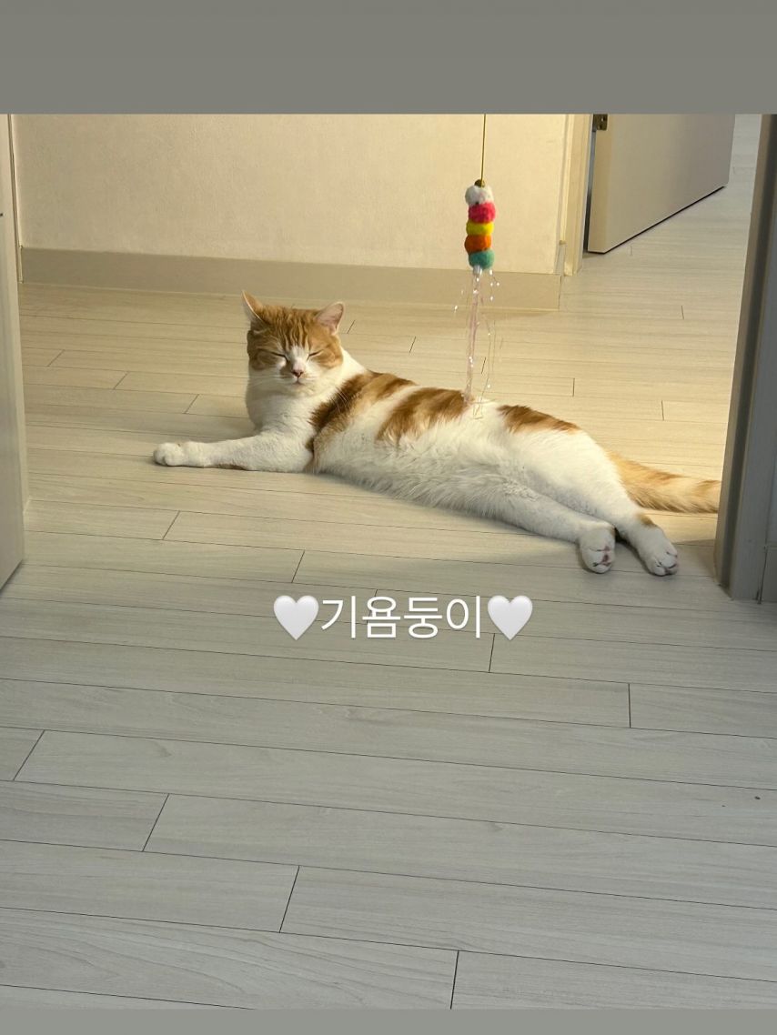 쏘블리