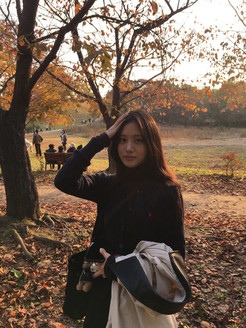 홍화연