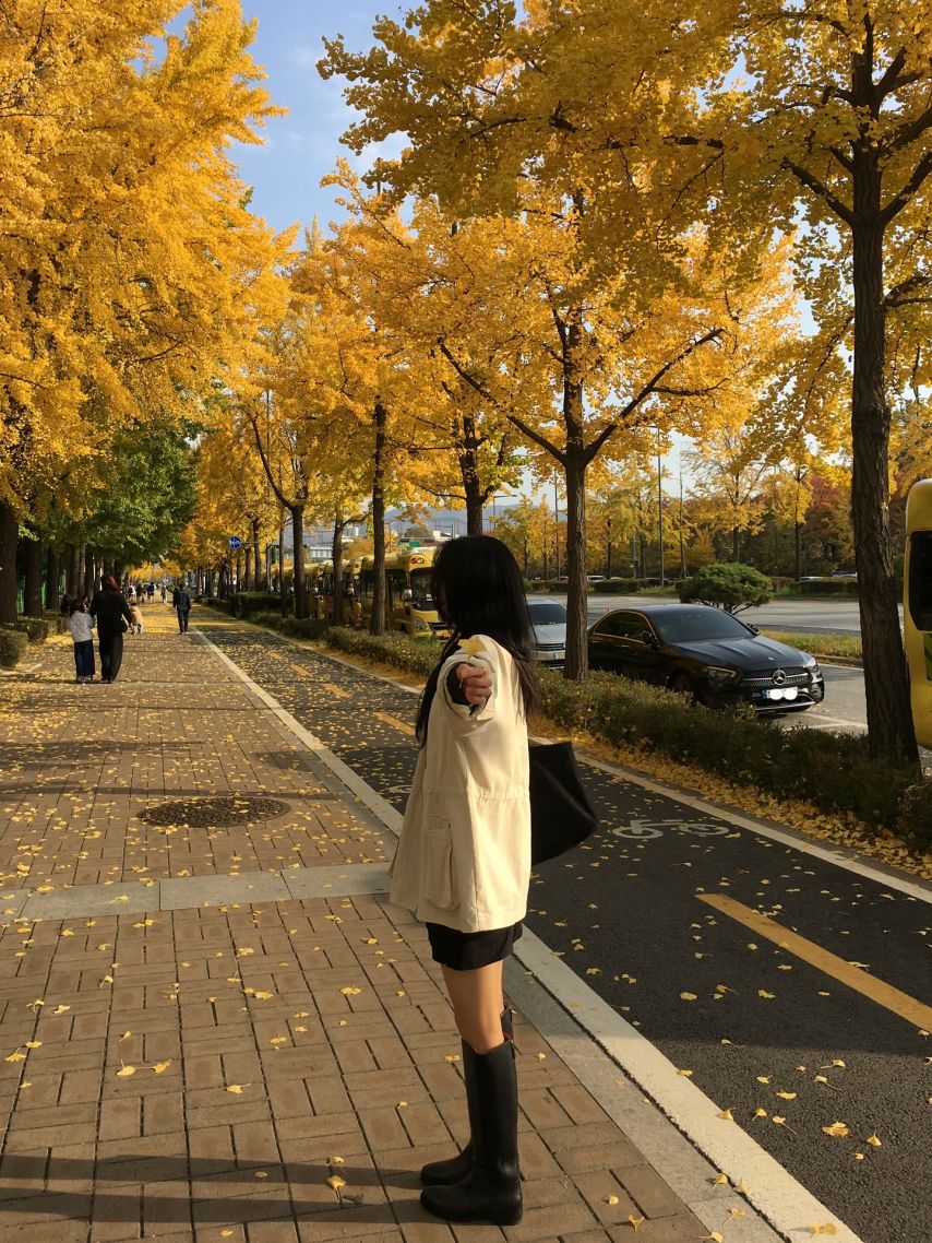 홍화연