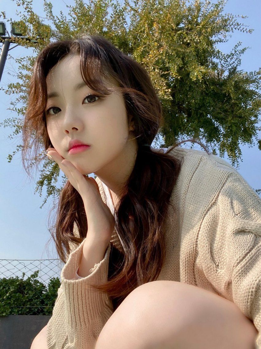 엘리스-가린