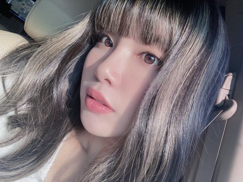 엘리스-벨라