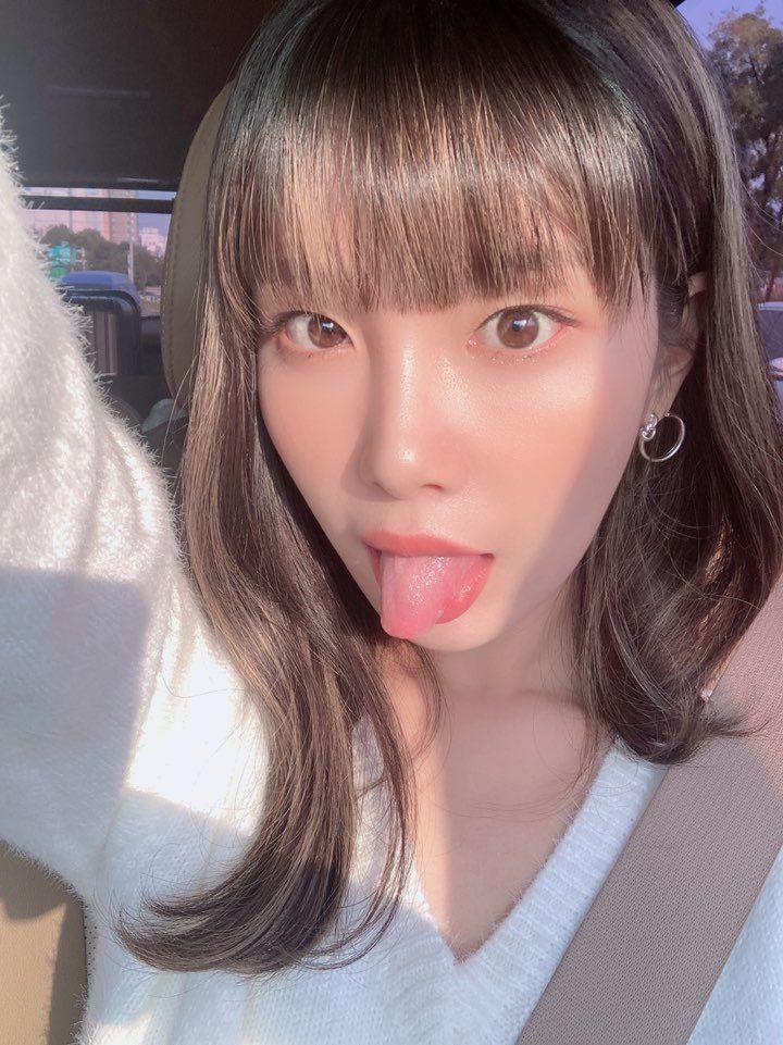 엘리스-벨라