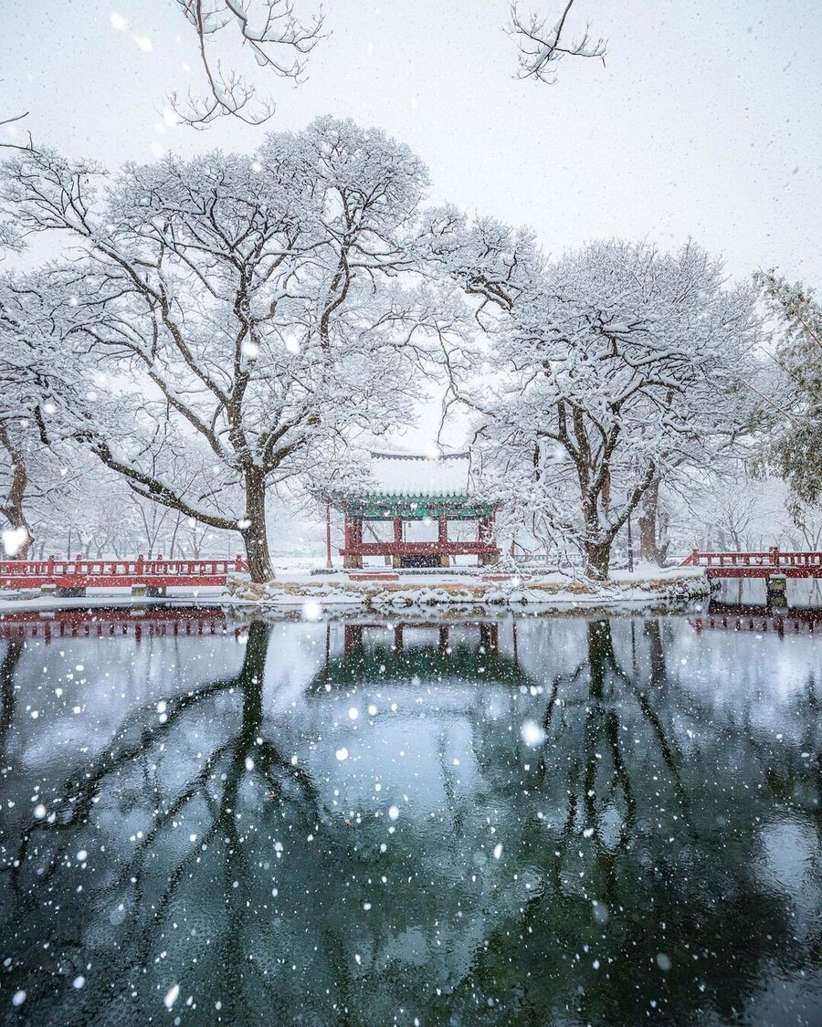 레딧에서 화제가 된 한국의 풍경들