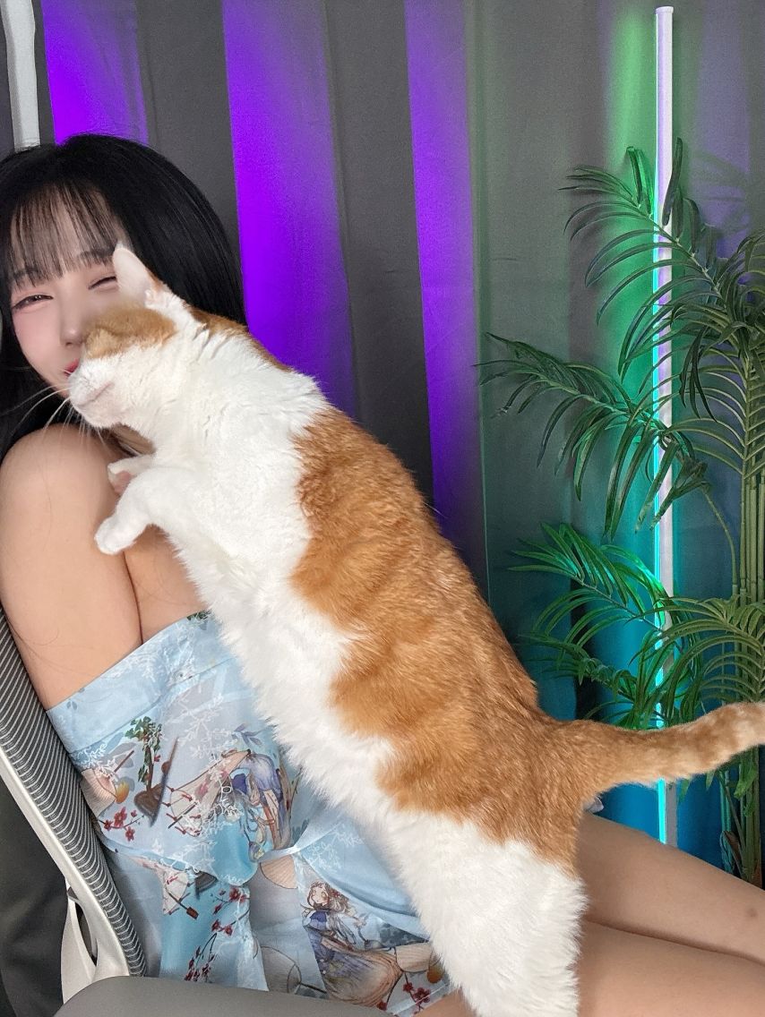 정다별이