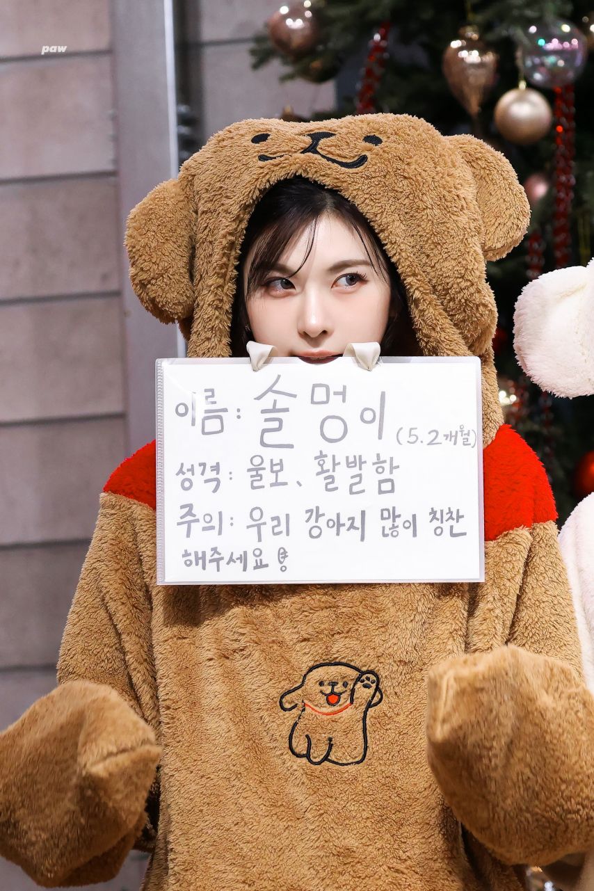 엔믹스 배이