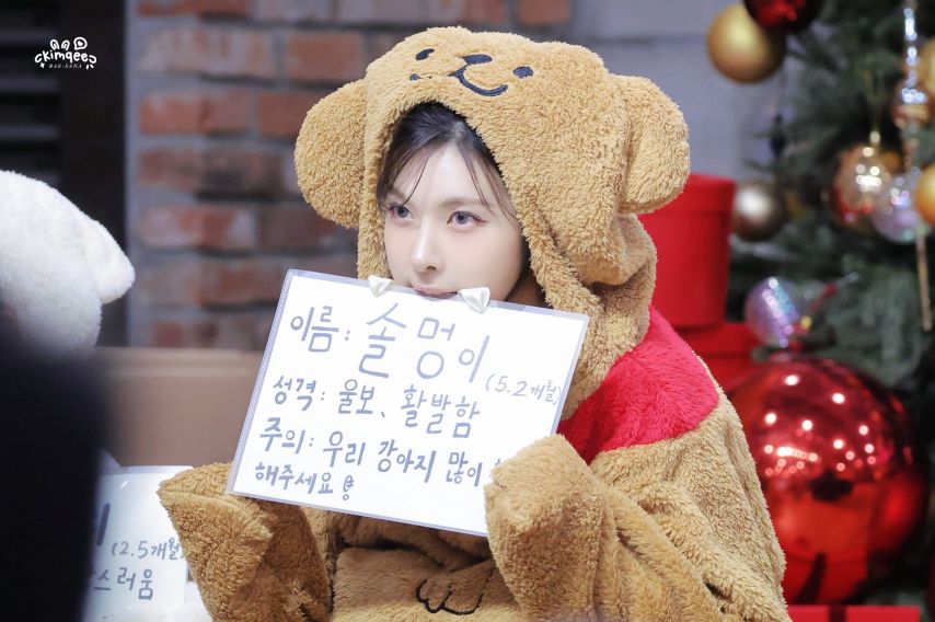 엔믹스 배이