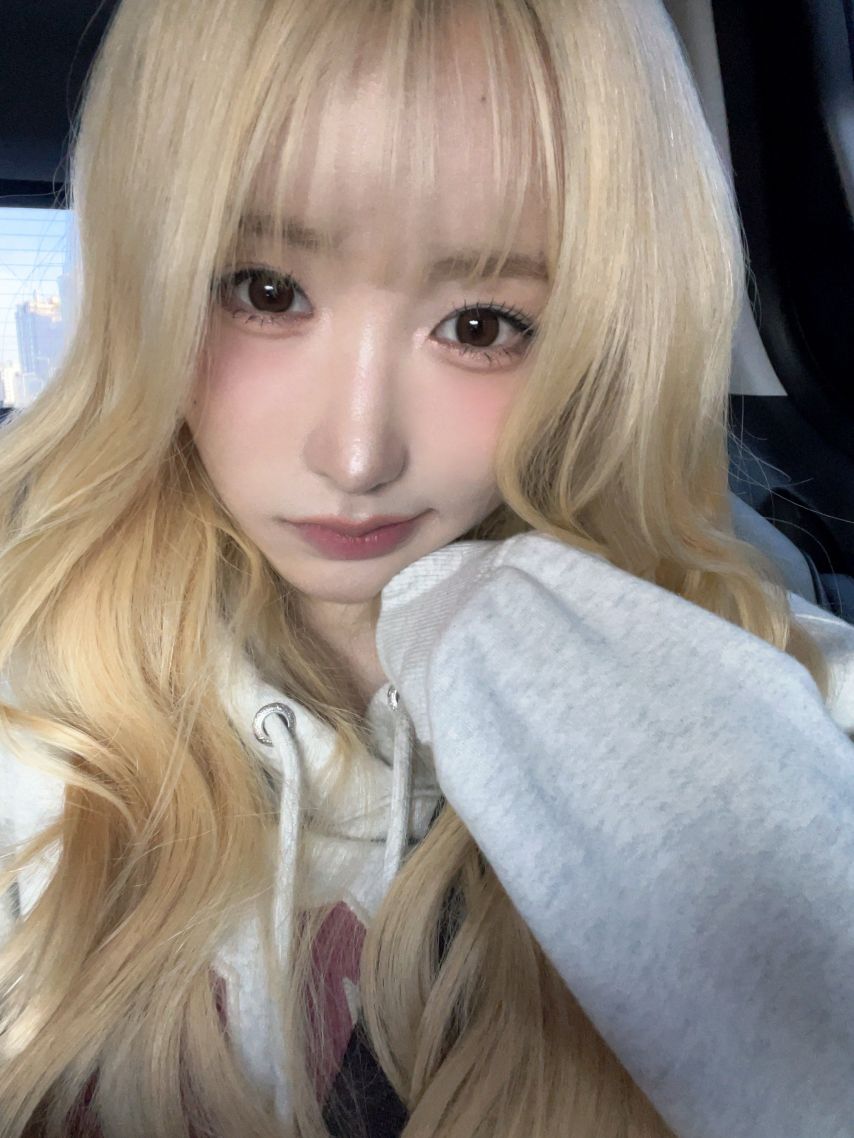 세이마이네임 메이