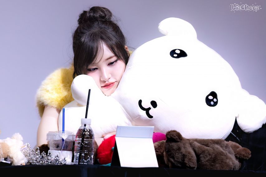아이브 리즈