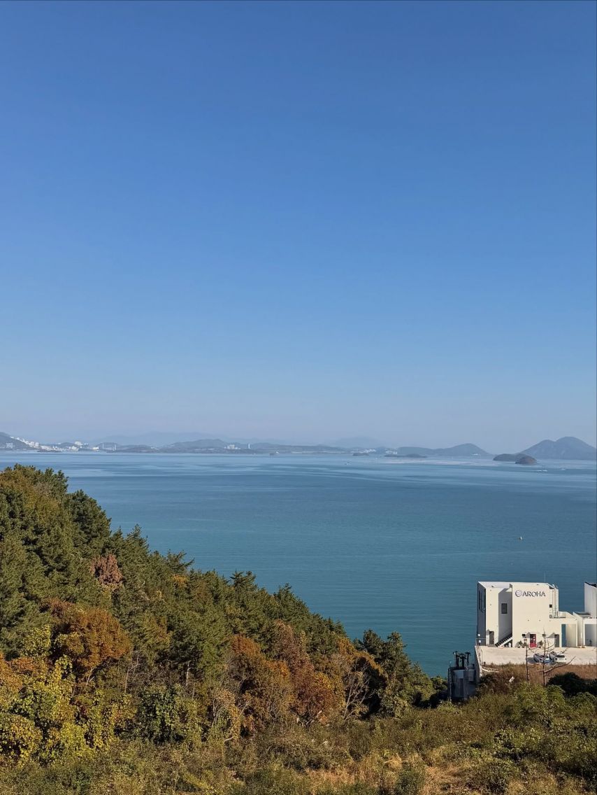 전은비