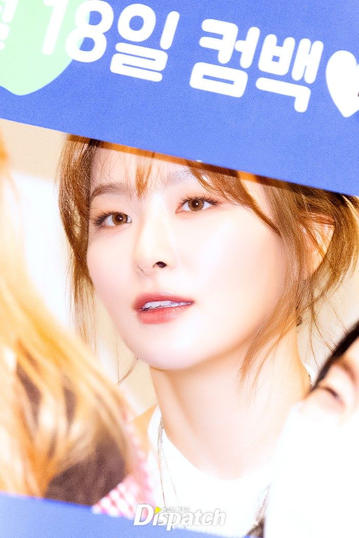 레드벨벳 슬기