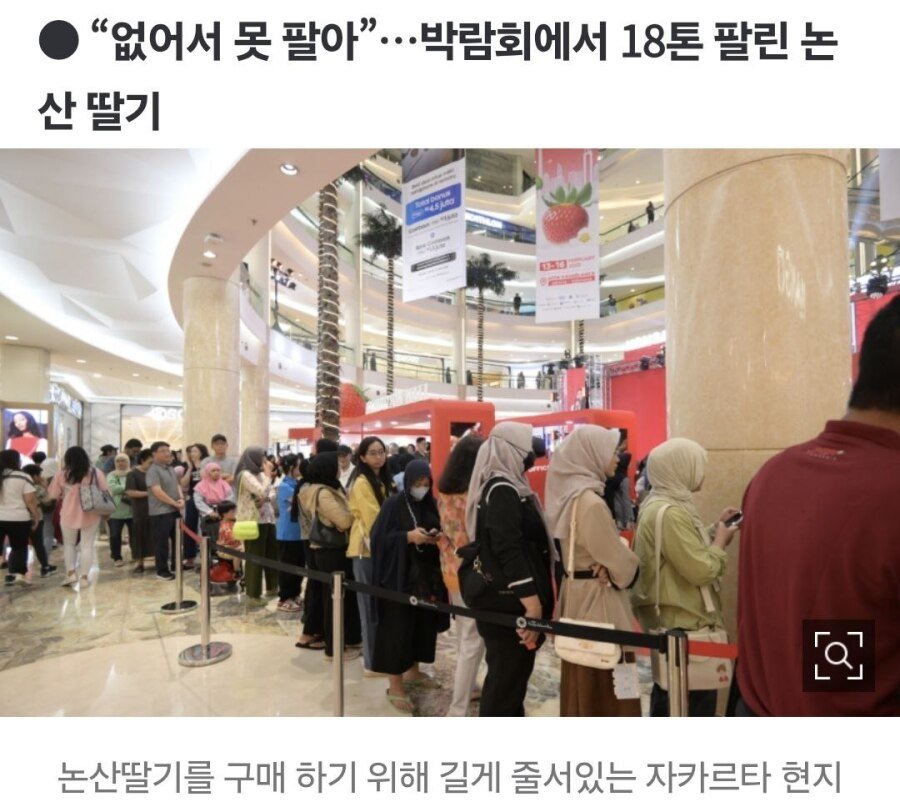 한국딸기 좆댐