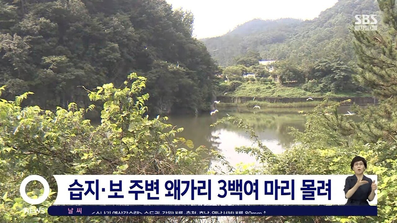왜가리 타워디펜스