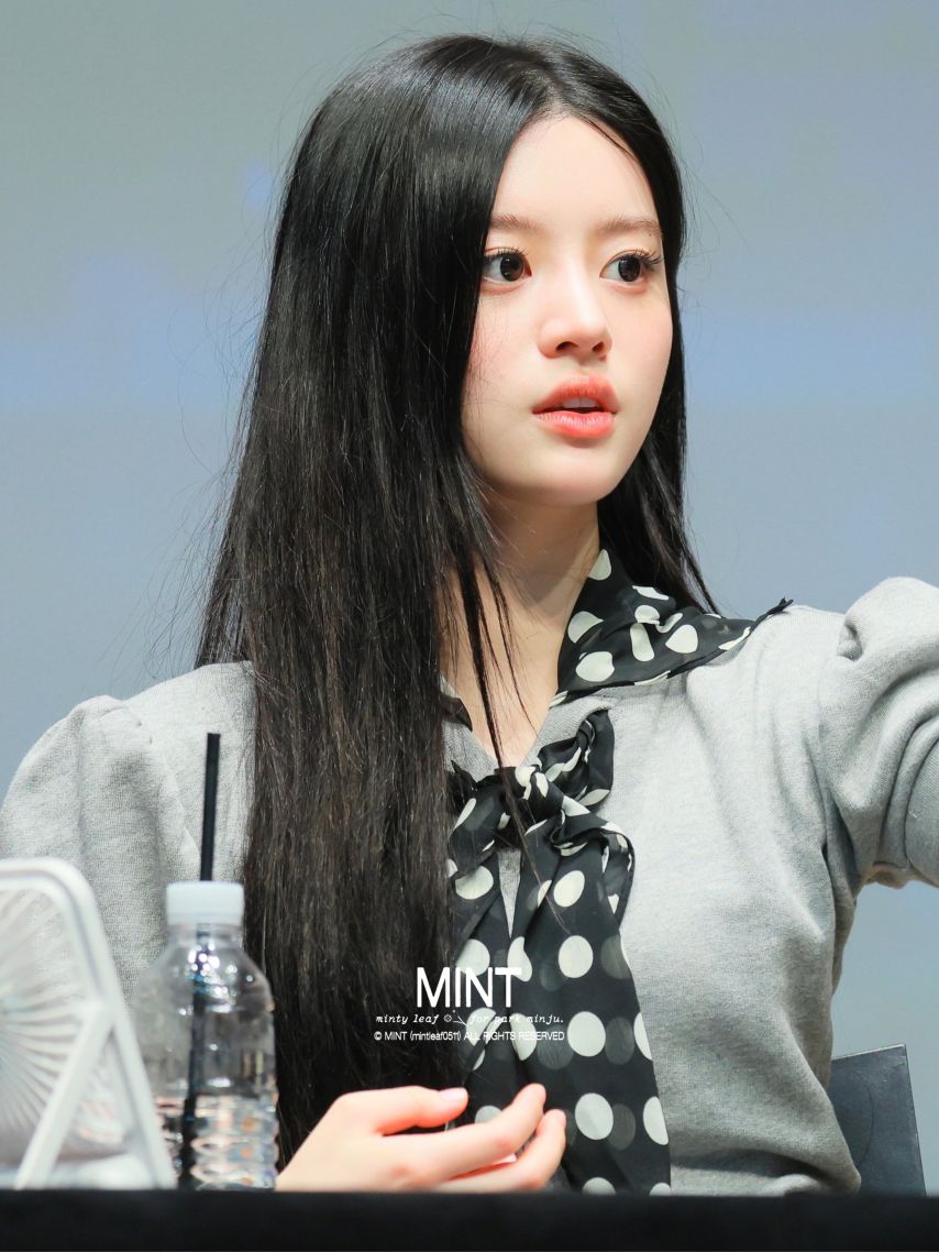 아일릿 민주