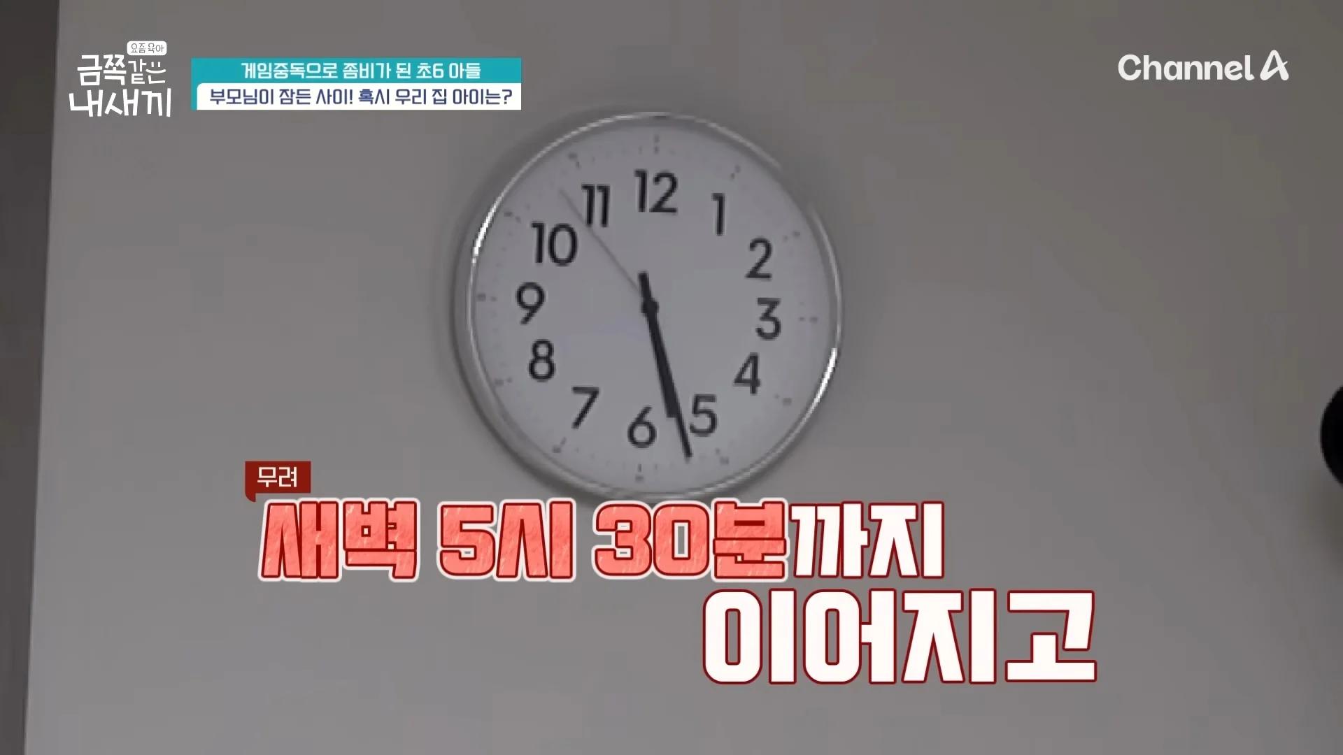하루 12시간 게임 금쪽이