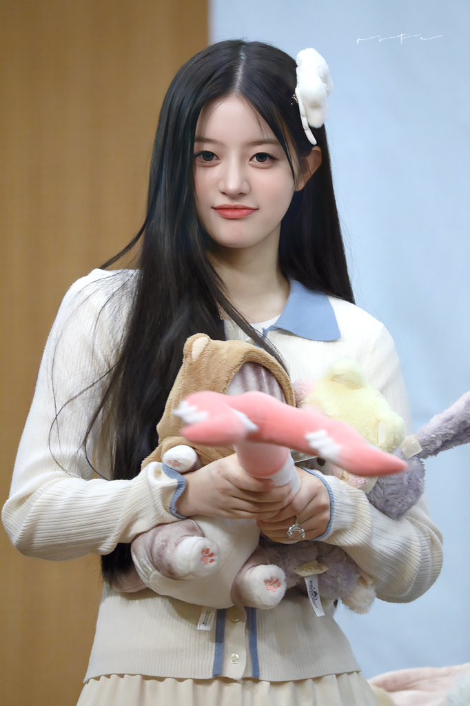 아일릿 민주
