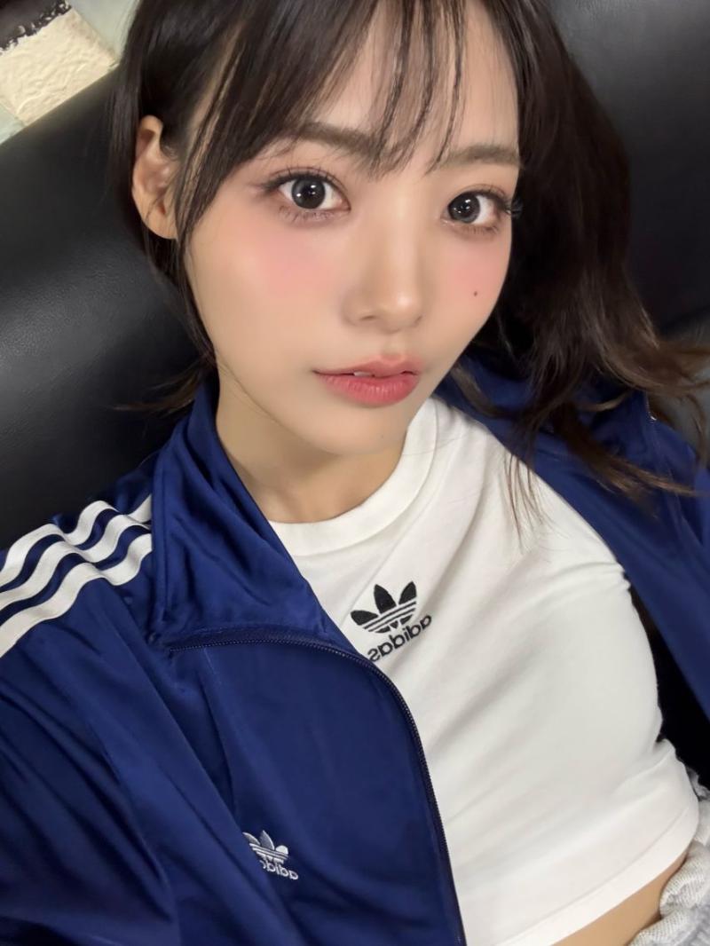 시연