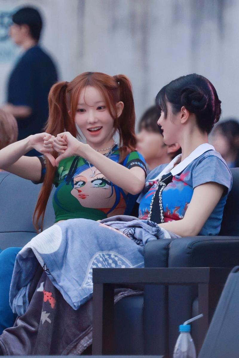 쵸단&마젠타