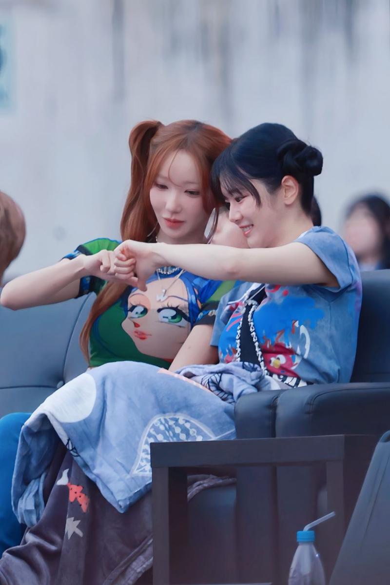 쵸단&마젠타