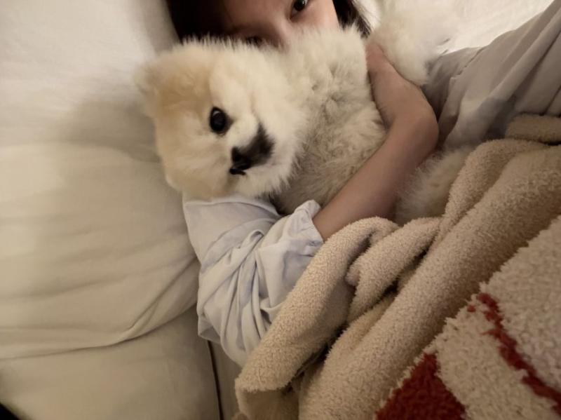 트와이스 나연