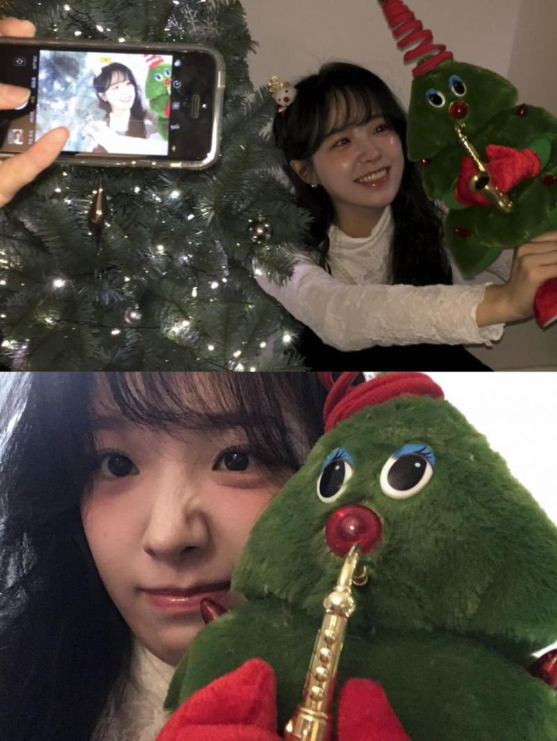 정보민