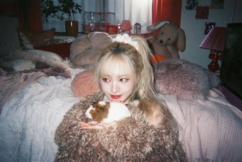 아이브 리즈