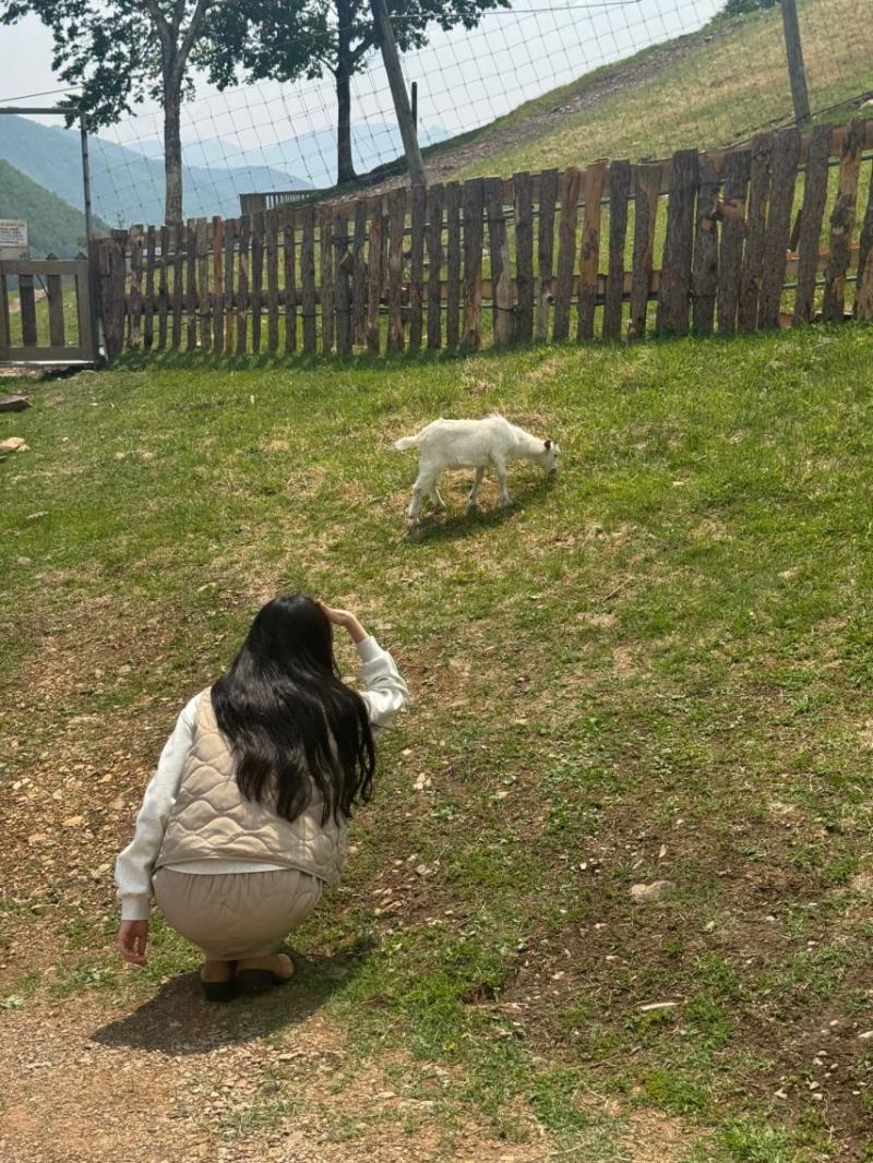 노윤서