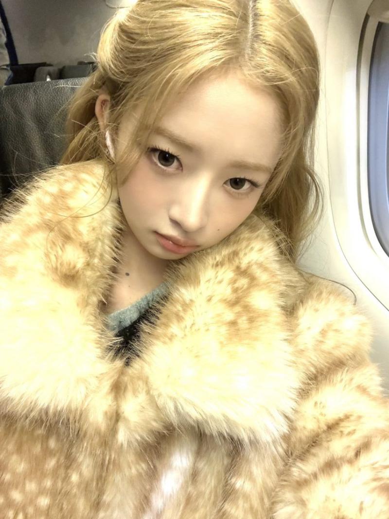 아이브 레이
