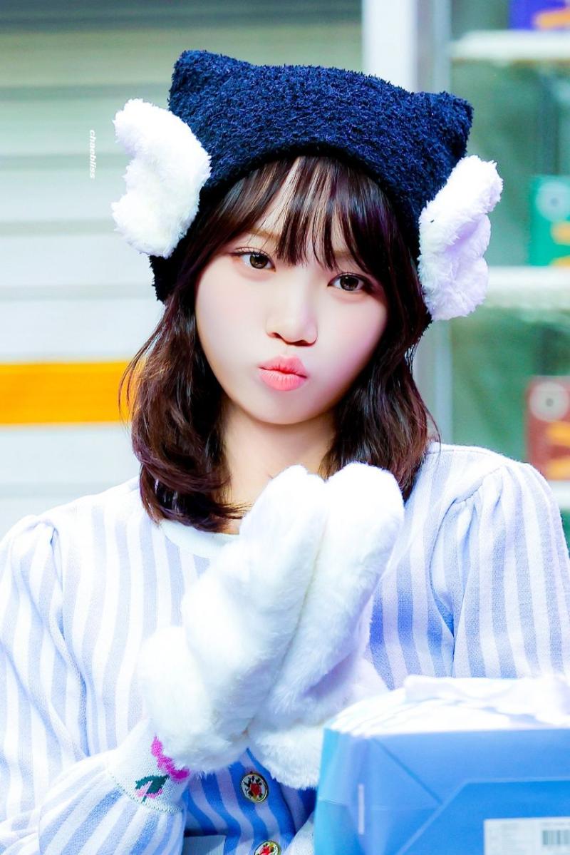 르세라핌 김채원