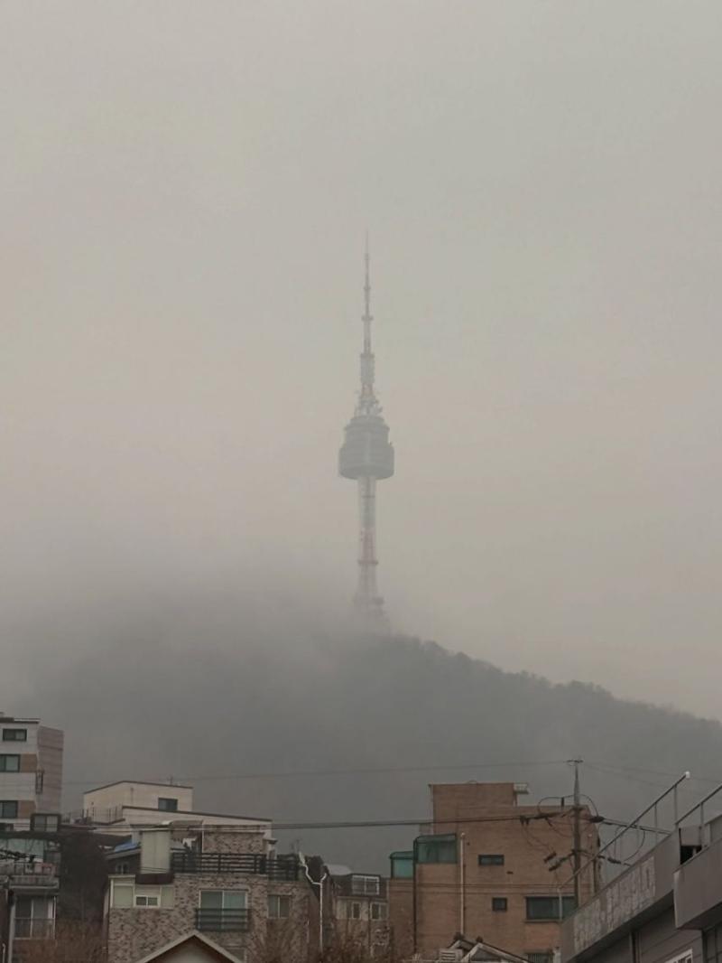 안젤리나 다닐로바