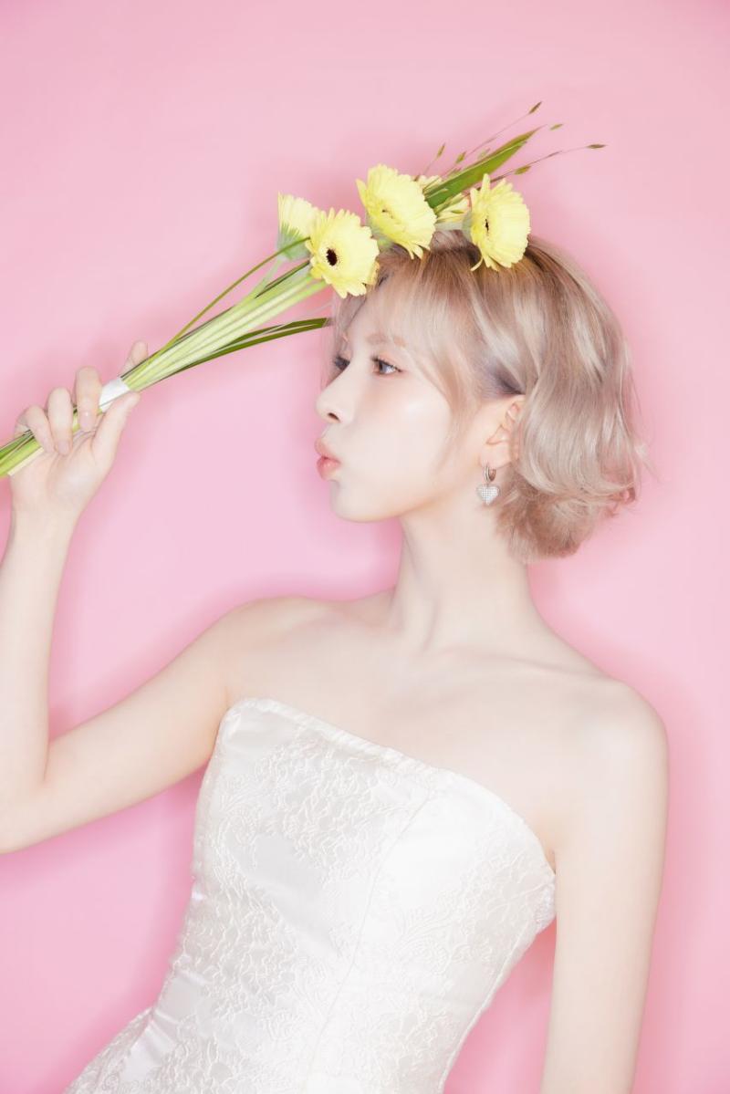 엔믹스 배이 생일