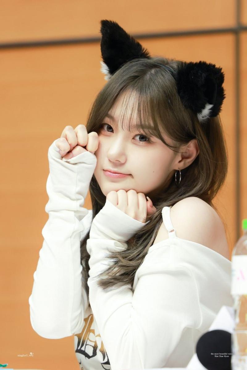 케플러 김채현
