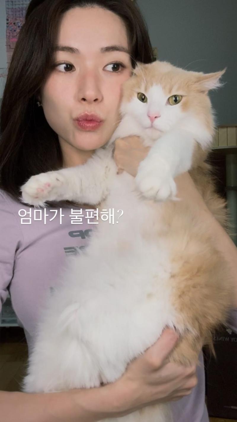 하영