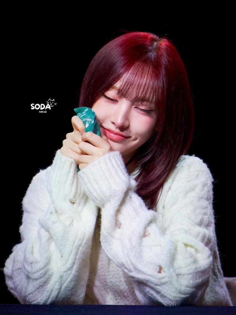 IVE (아이브) 리즈