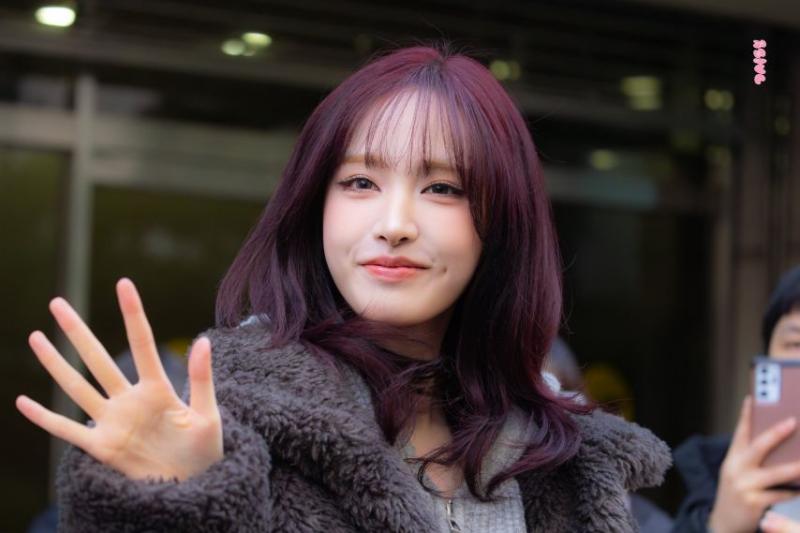 아이브 리즈