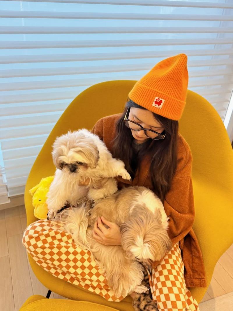 채정안 SNS