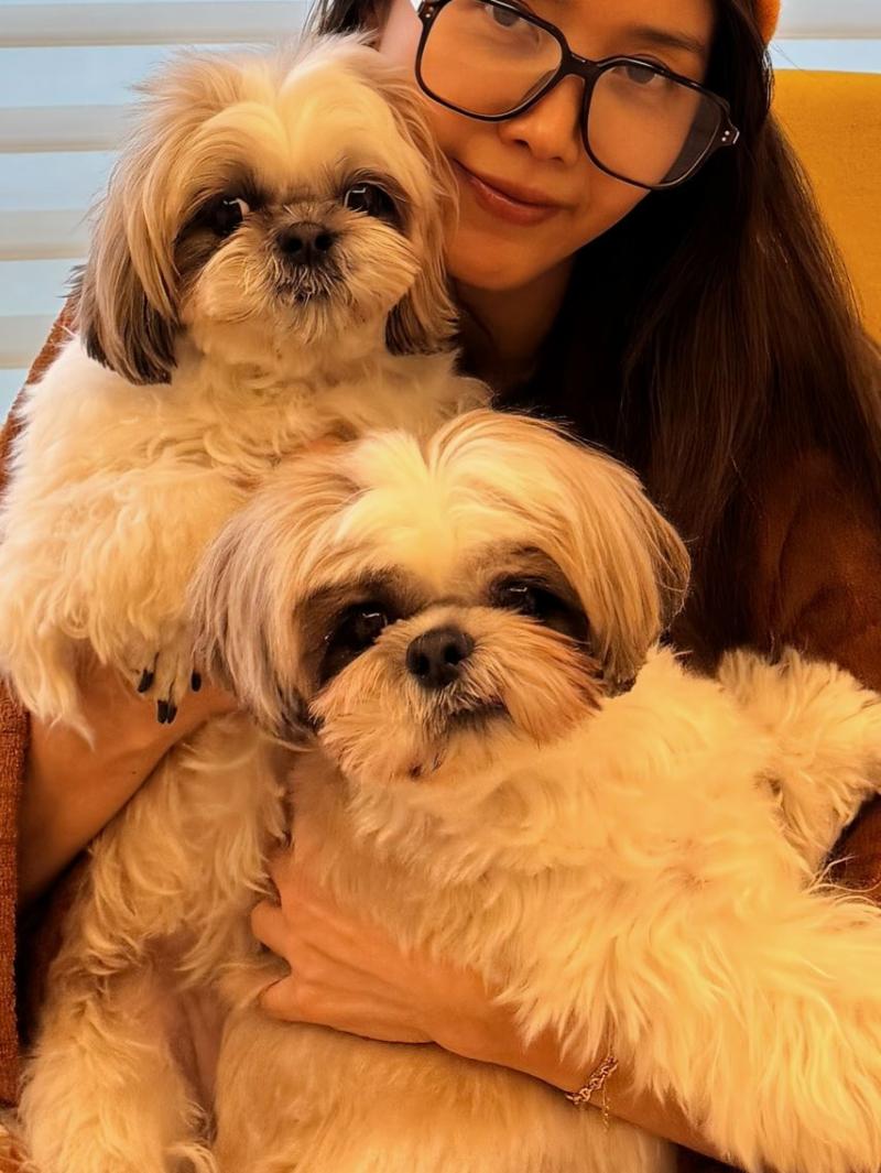 채정안 SNS