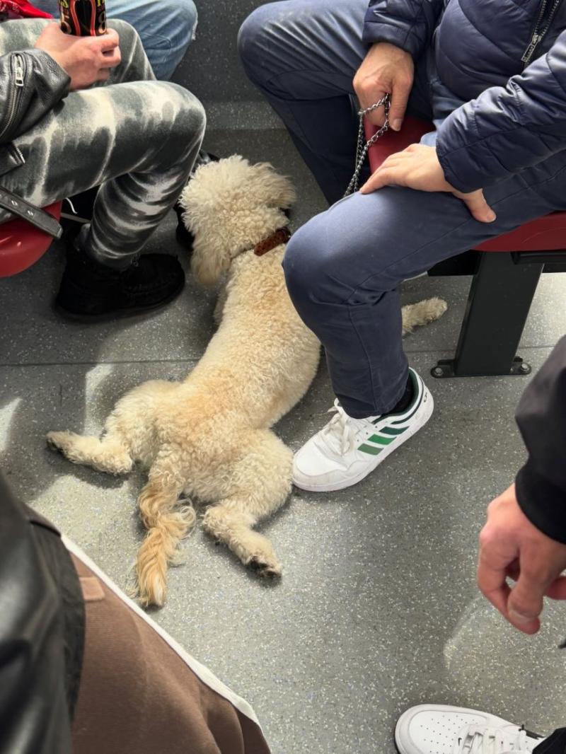 이새롬