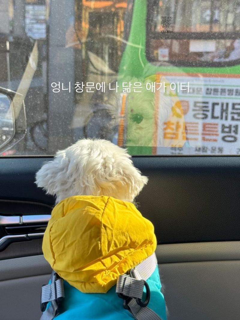 이새롬