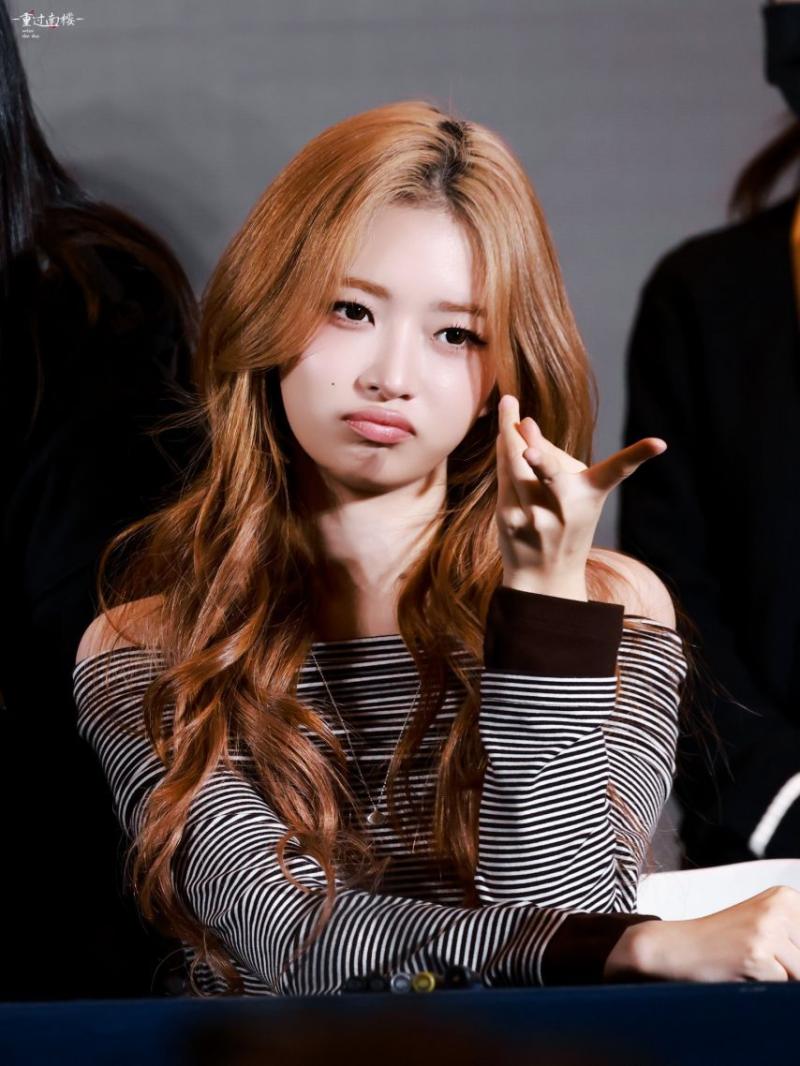 아이브 레이