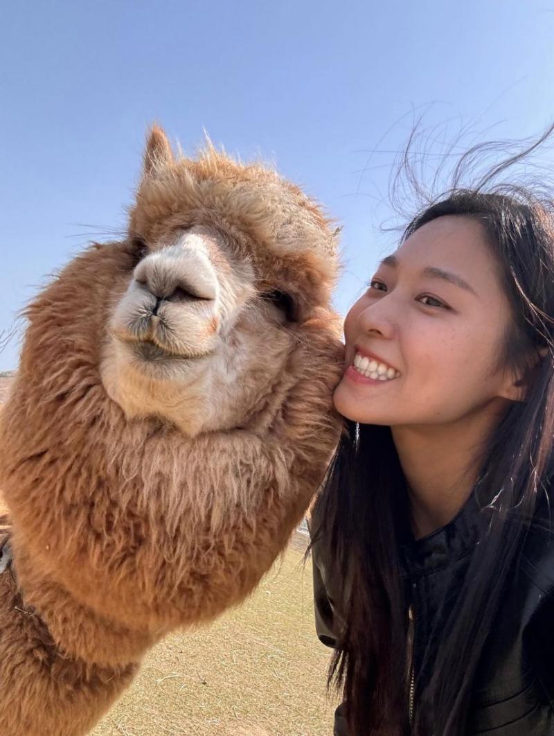 김설현