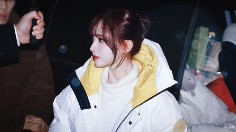 아이브 리즈