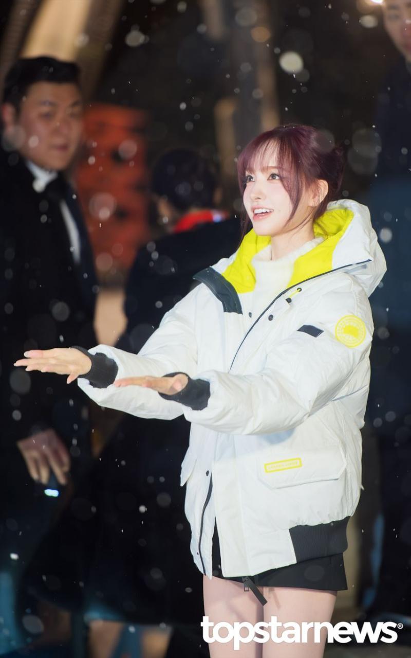 아이브 리즈