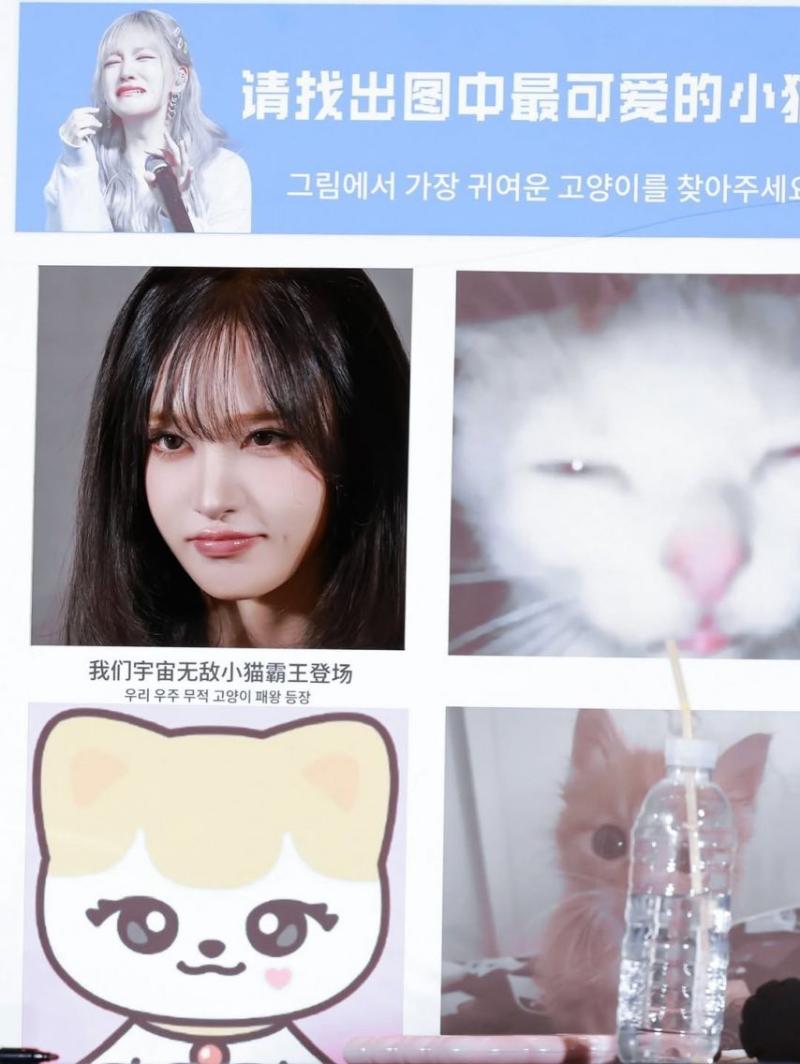 IVE (아이브) 리즈