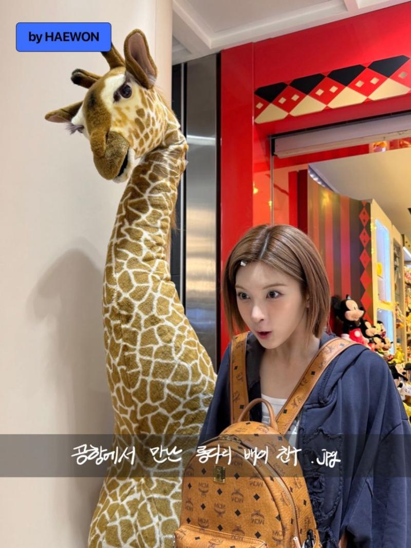 엔믹스 배이